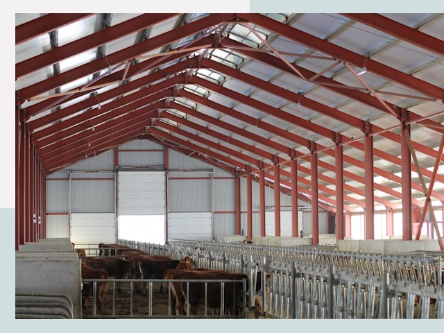 Строительство коровников в Кумертау