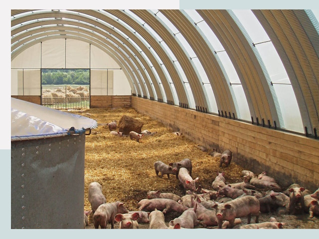 Строительство свинарников в Кумертау